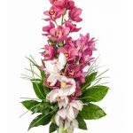Jak pečovat o orchidej, když kvete 6