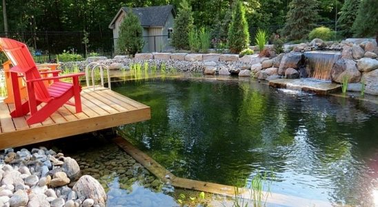 Koupací jezírko v zahradě 2