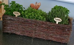 Kam rozmístit bylinky v kuchyni 24