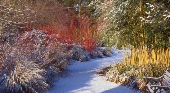 Co je zapotřebí udělat se zahradou dokud nesněží 3