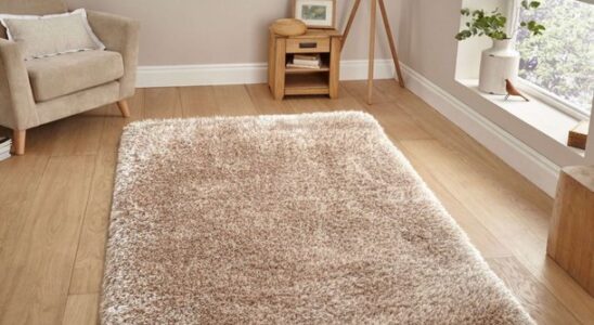 Koberce - tradiční a současně luxusní řešení 3