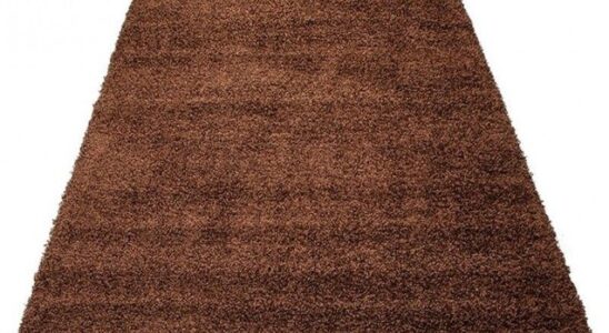 Proč zvolit zátěžový koberec hnědý 9