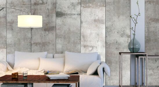 Imitace betonu - inspirace čistotou 1