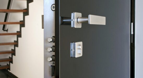 Bezpečnostní vchodové dveře 10