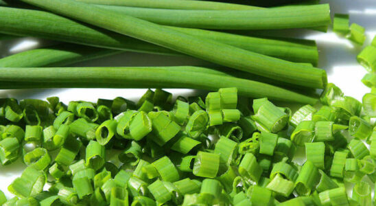 Jak pěstovat pažitku 6