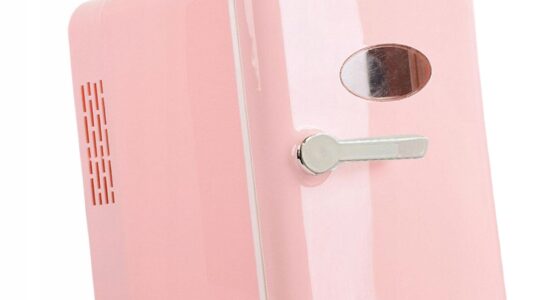 Jak vybrat přenosnou lednici? 5