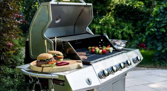 Jak regulovat gril? 5