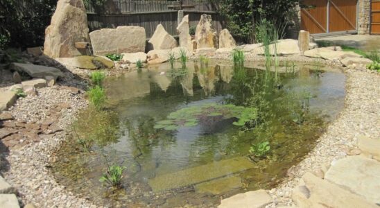 Čím lepit kameny v jezírku? 9