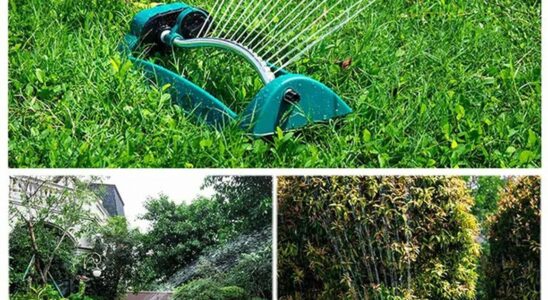 Jaký typ zavlažovacího zařízení je nejideálnější pro vaši zahradu? 8