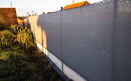 Co dát na plot, aby nebylo vidět? 20